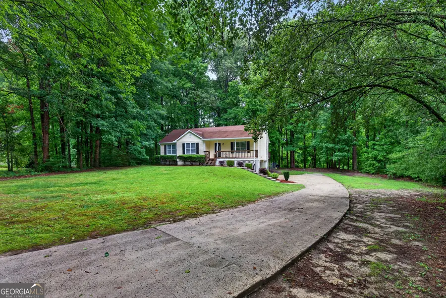 126 Doe Run Drive, Sharpsburg, GA 30277 - #3