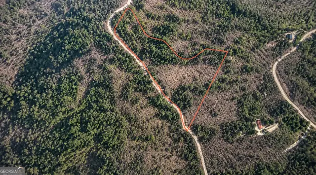 LOT 169 Flagpole Circle, Ellijay, GA 30540 - #1