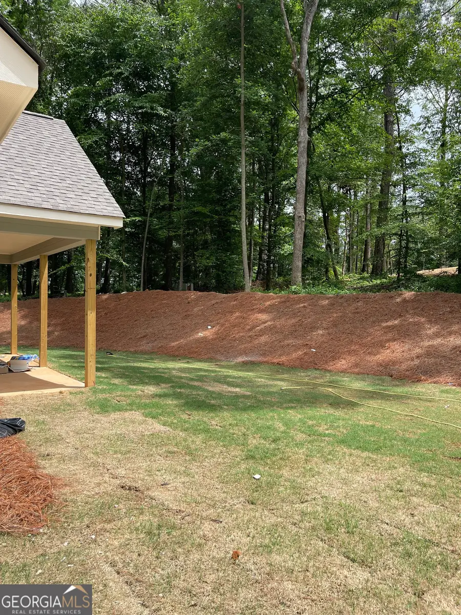 115 Drues Road, Bowdon, GA 30108 - #3