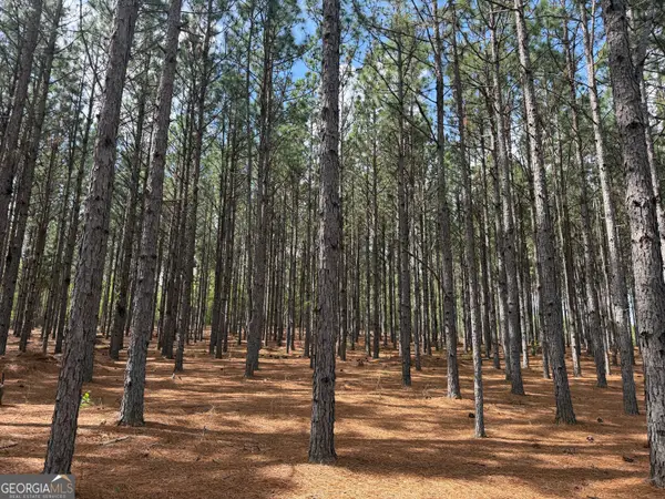 012 Barge Rd, Lumpkin, GA 31815