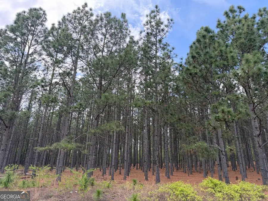 012 Barge Rd, Lumpkin, GA 31815 - #2