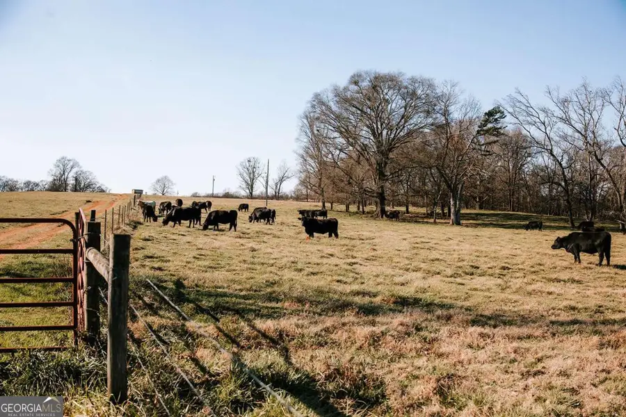 119A Ralph Bridges Road, Lexington, GA 30648 - #2