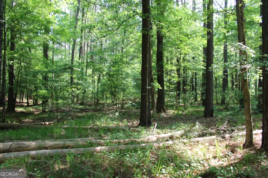 0 Hwy 87 Tract 2, Forsyth, GA 31029 - #3