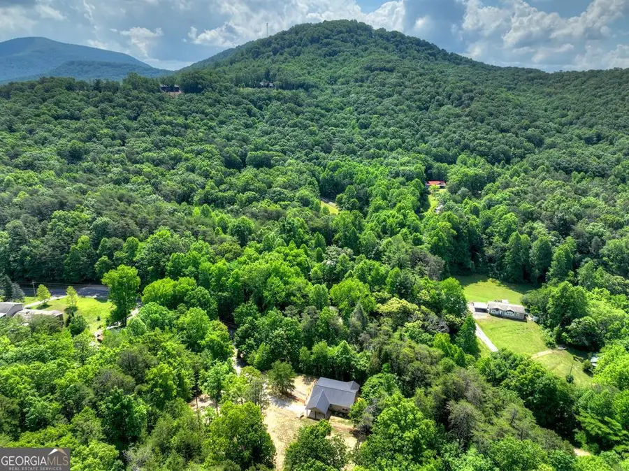 2113 Turniptown Road, Ellijay, GA 30536 - #3