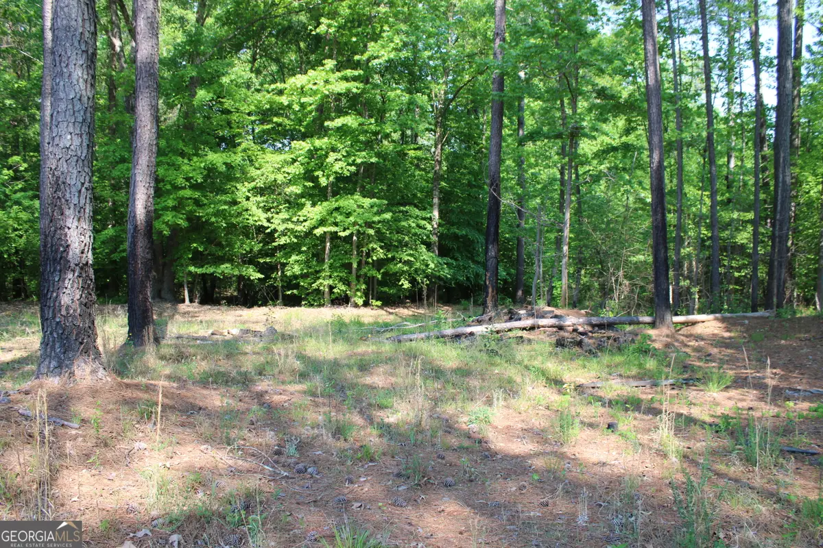 0 Hwy 87 Tract 3, Forsyth, GA 31029 - #1