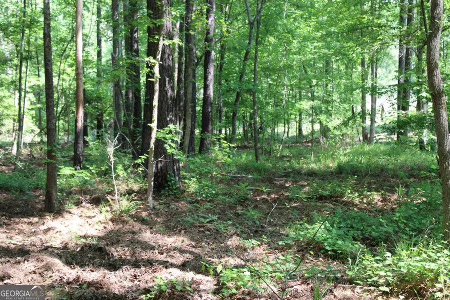 0 Hwy 87 Tract 3, Forsyth, GA 31029 - #3