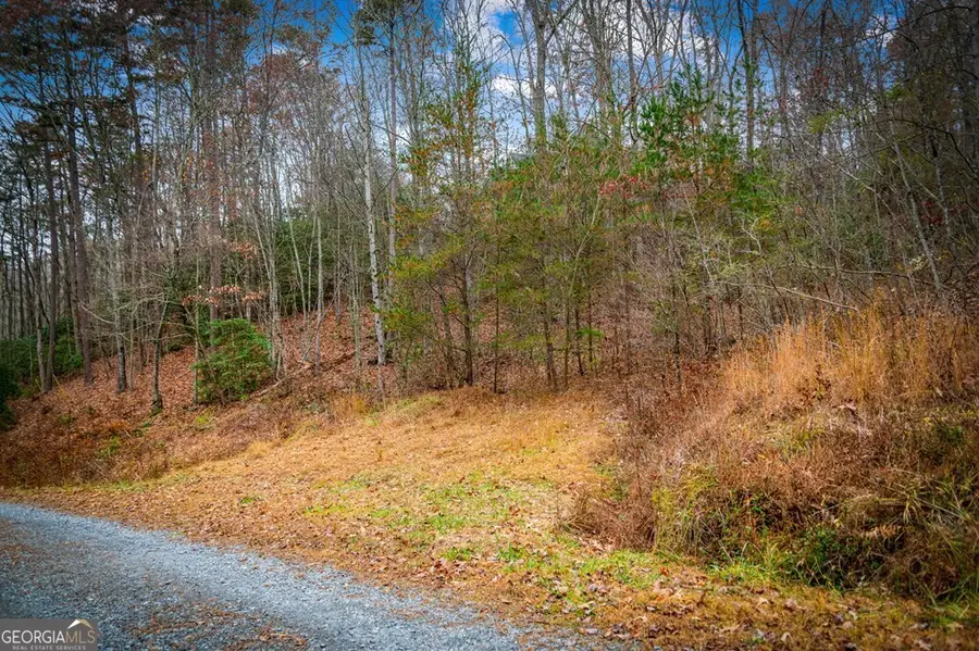 5.97 AC Bullen Gap Road, Blue Ridge, GA 30513 - #3