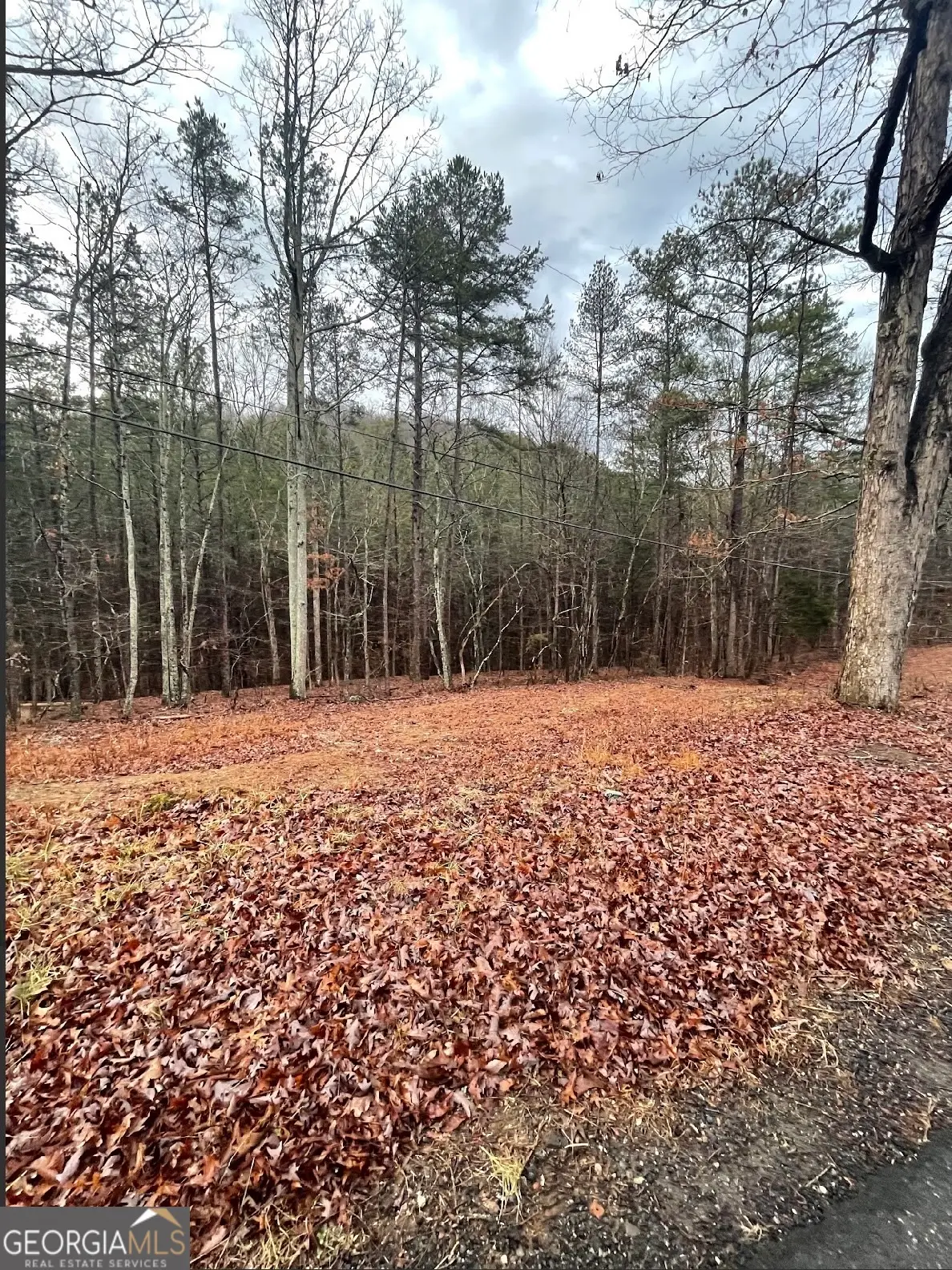 130 Connesena Road, Kingston, GA 30145 - #1
