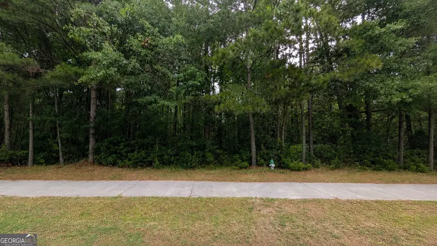 0 Harris Trail Road, Richmond Hill, GA 31324 - #3