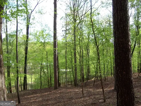 0 Brer Rabbit Trail, Milledgeville, GA 31061