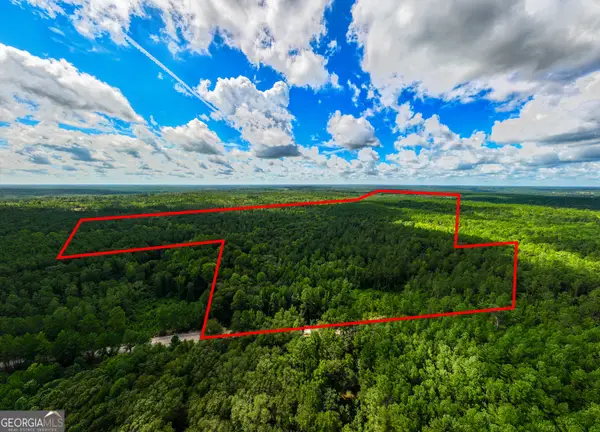 39.87 ACRES Irby Road, Gibson, GA 30810