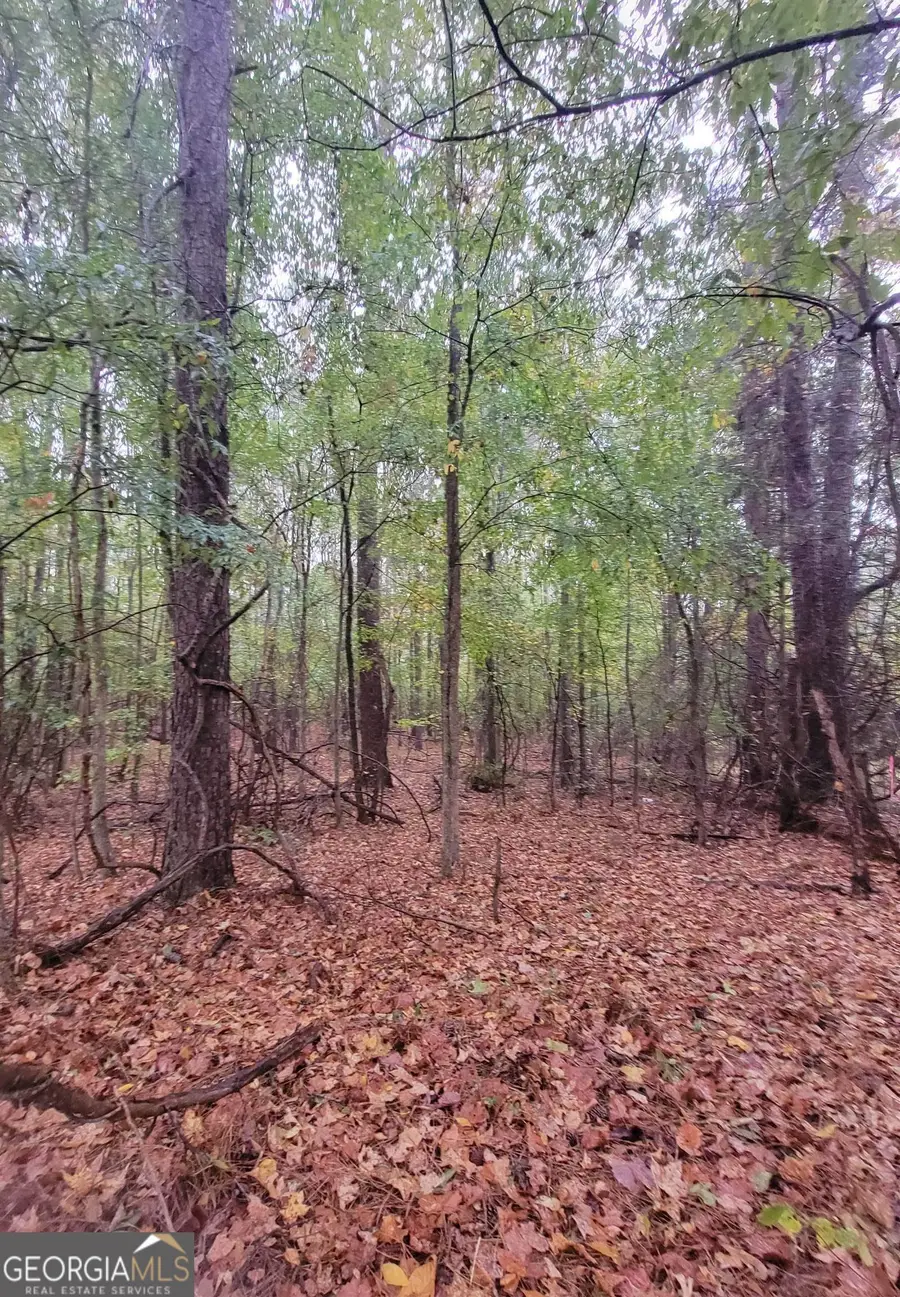 14 ACRES Lamars Mill Road, Flovilla, GA 30216 - #2