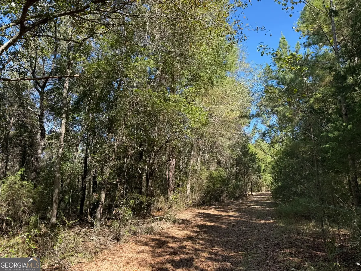 006H Wallace Buie Road, Webb, AL 36376 - #1