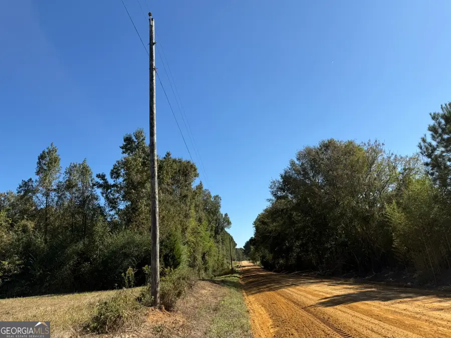006H Wallace Buie Road, Webb, AL 36376 - #3