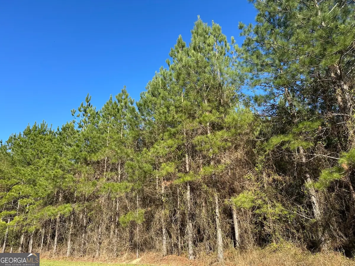0021 Barnes Road, Gordon, AL 36343 - #1