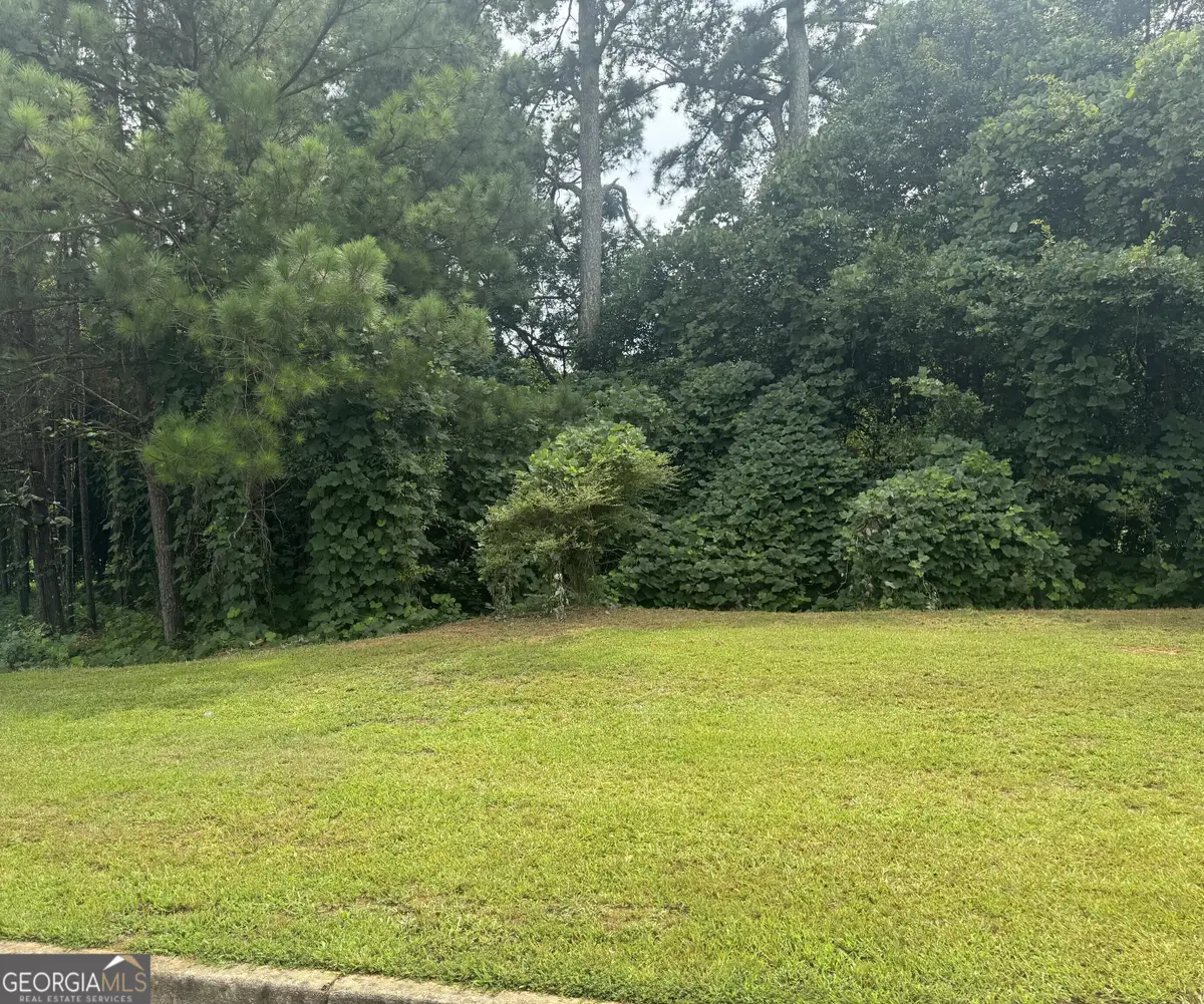 500 Mccain Creek Trail, Stockbridge, GA 30281 - #1