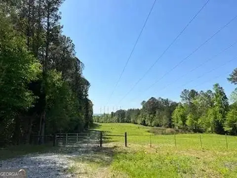 229 E Turnipseed Road, Rock Spring, GA 30739 - #2