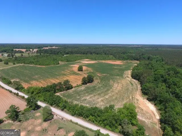 0 Ben Hadden Road, Stapleton, GA 30823 - #3