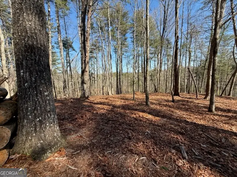 120R Red Oak Trail, East Ellijay, GA 30540 - #2