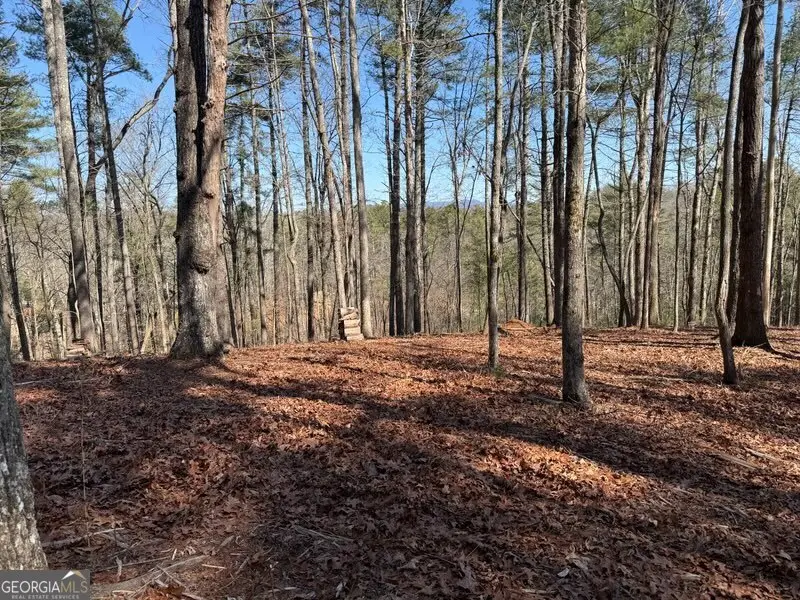 120R Red Oak Trail, East Ellijay, GA 30540 - #3