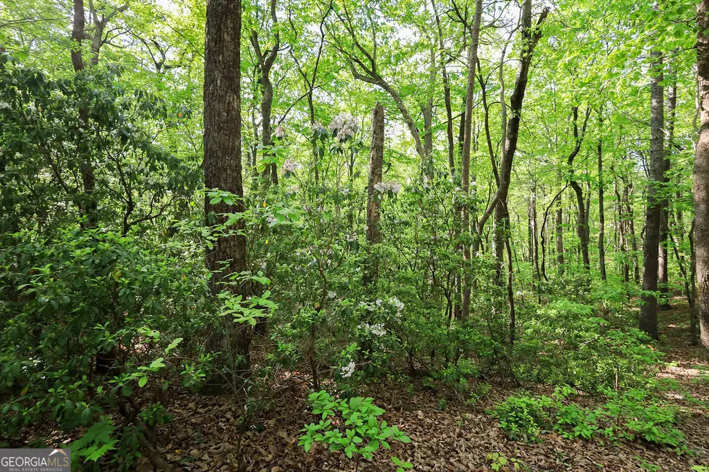 0 Amicalola Drive, Dawsonville, GA 30534 - #1