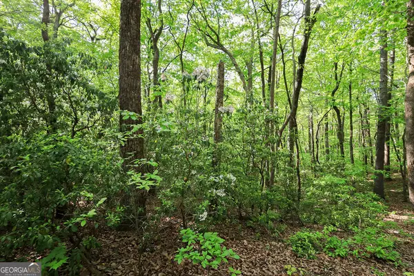 0 Amicalola Drive, Dawsonville, GA 30534