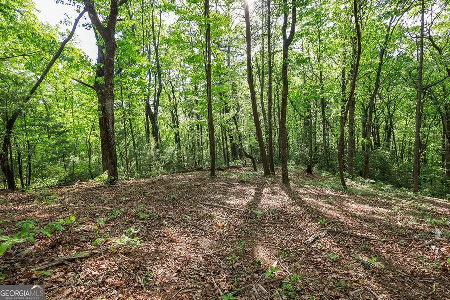0 Amicalola Drive, Dawsonville, GA 30534 - #2