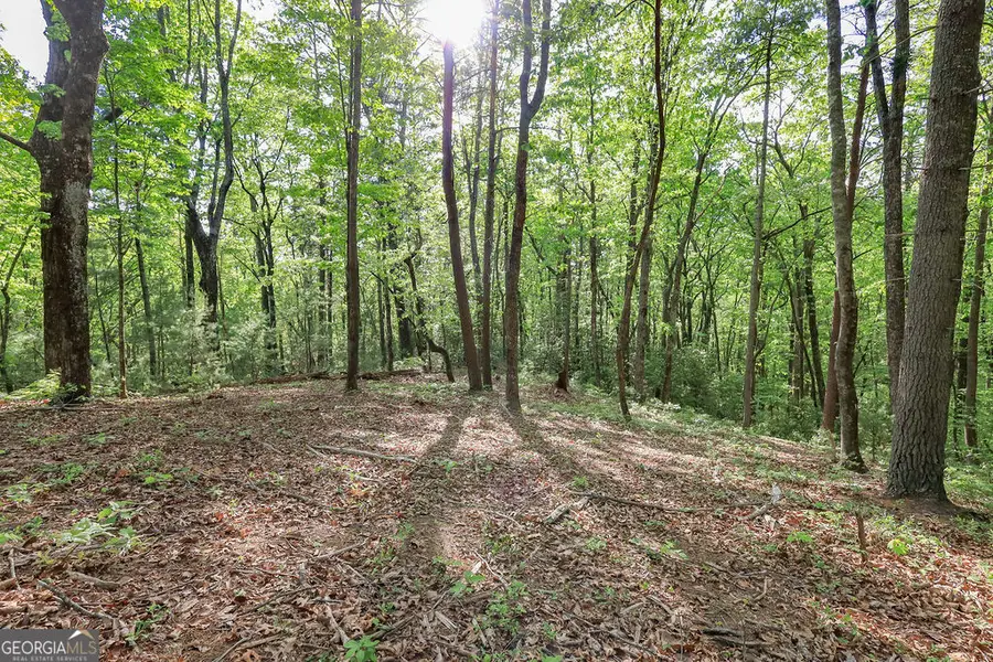 0 Amicalola Drive, Dawsonville, GA 30534 - #3