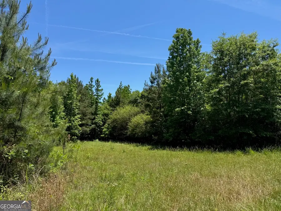 0 Whitesville Road, Lagrange, GA 30240 - #3