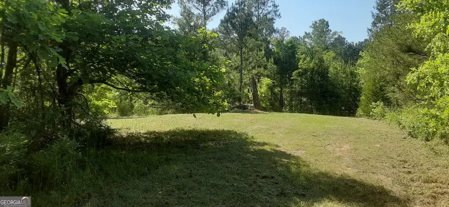 0 Delhi Road, Tignall, GA 30668 - #2