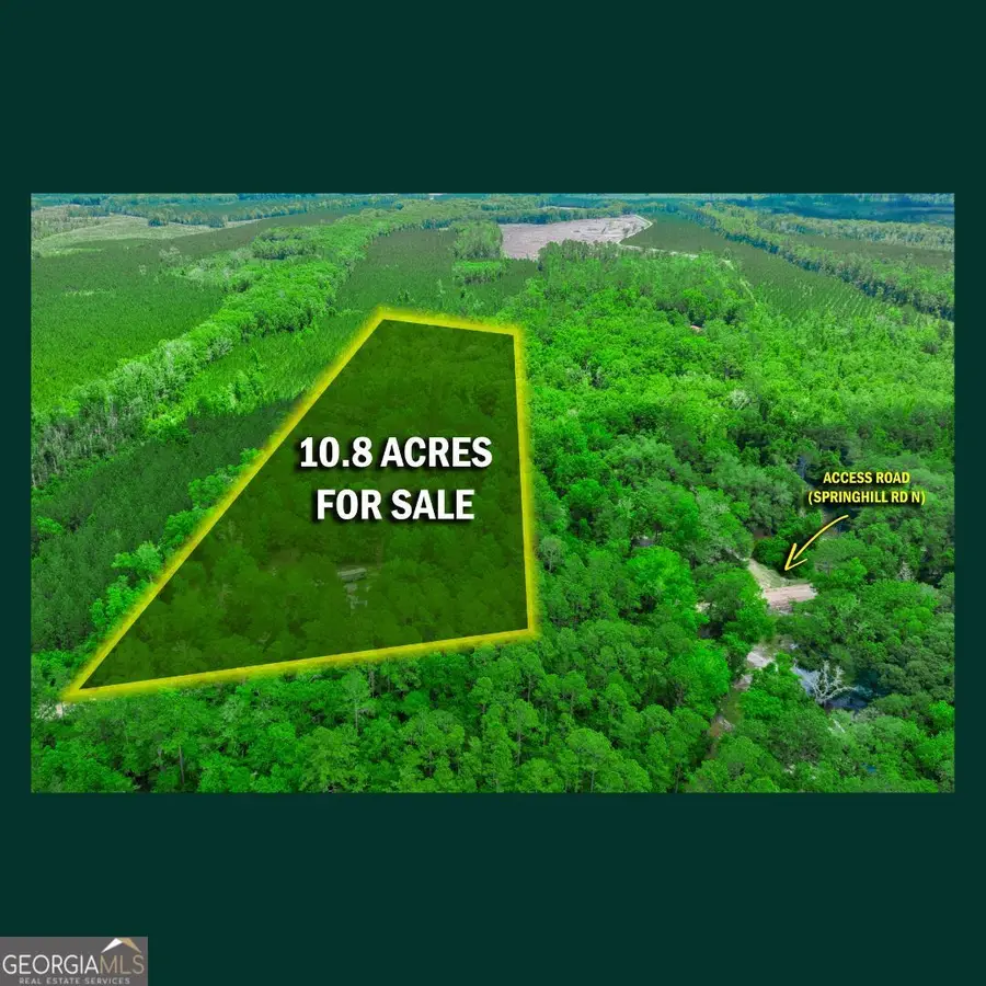 5435 Springhill Road N, Folkston, GA 31537 - #3
