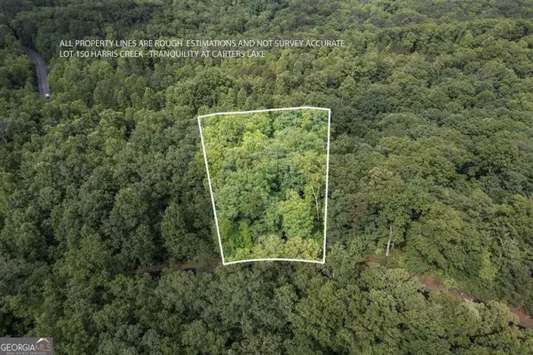 LOT 150 Tranquility @ Carters Lake, Ellijay, GA 30540