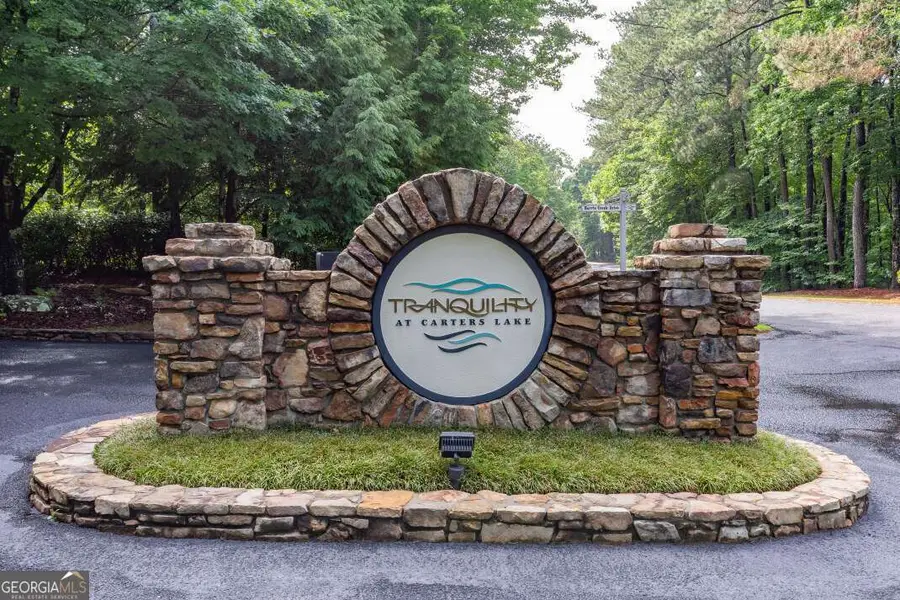 LOT 150 Tranquility @ Carters Lake, Ellijay, GA 30540 - #3