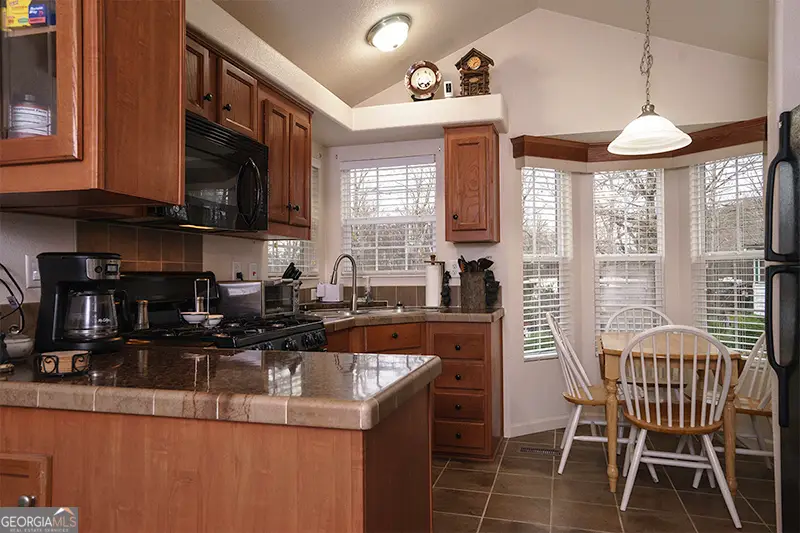 16 Bear Lovers Court, Cleveland, GA 30528 - #3