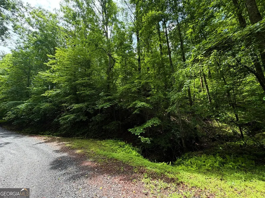 LT 144 Alcan Way, Ellijay, GA 30540 - #2