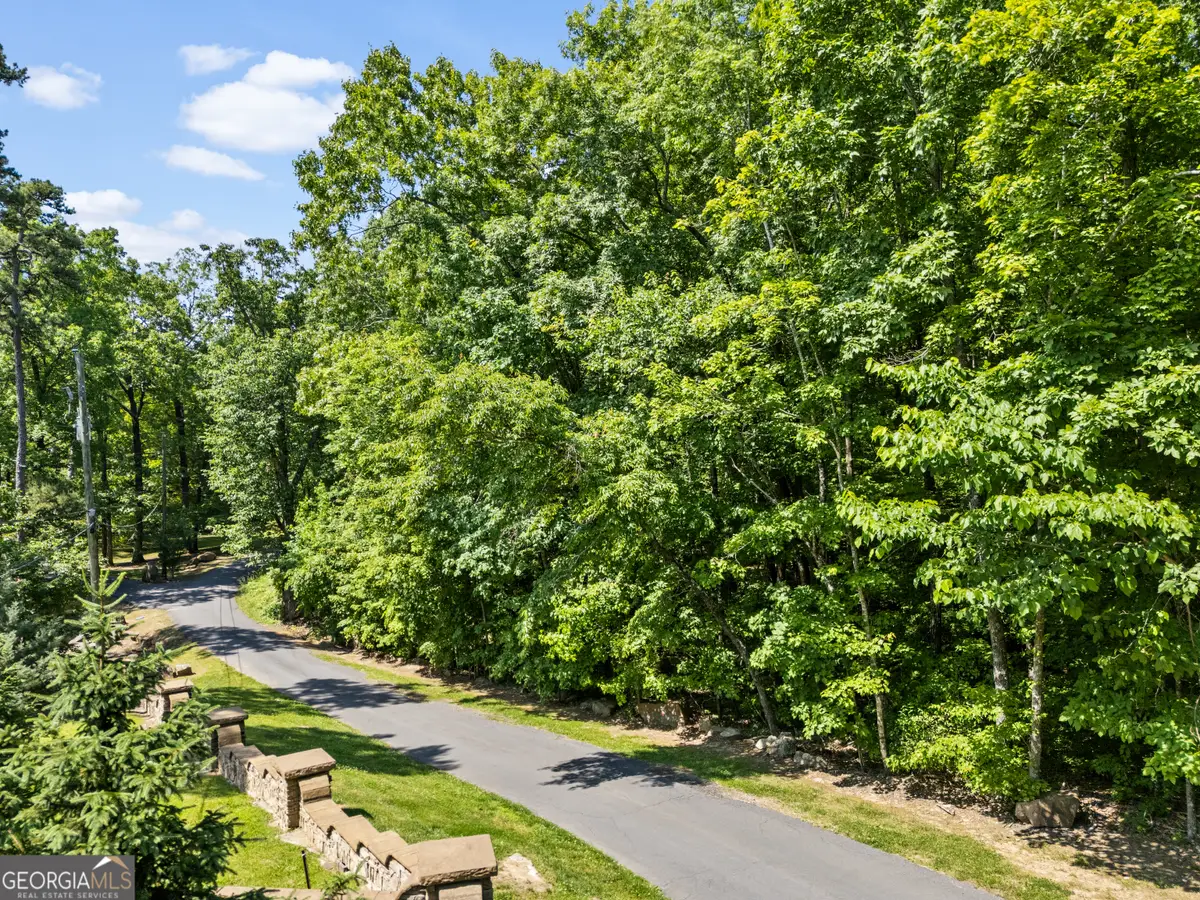 5 S Brow Drive, Menlo, GA 30731 - #1