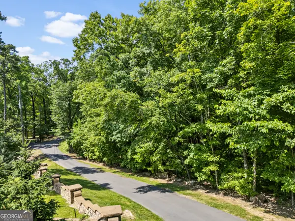 5 S Brow Drive, Menlo, GA 30731