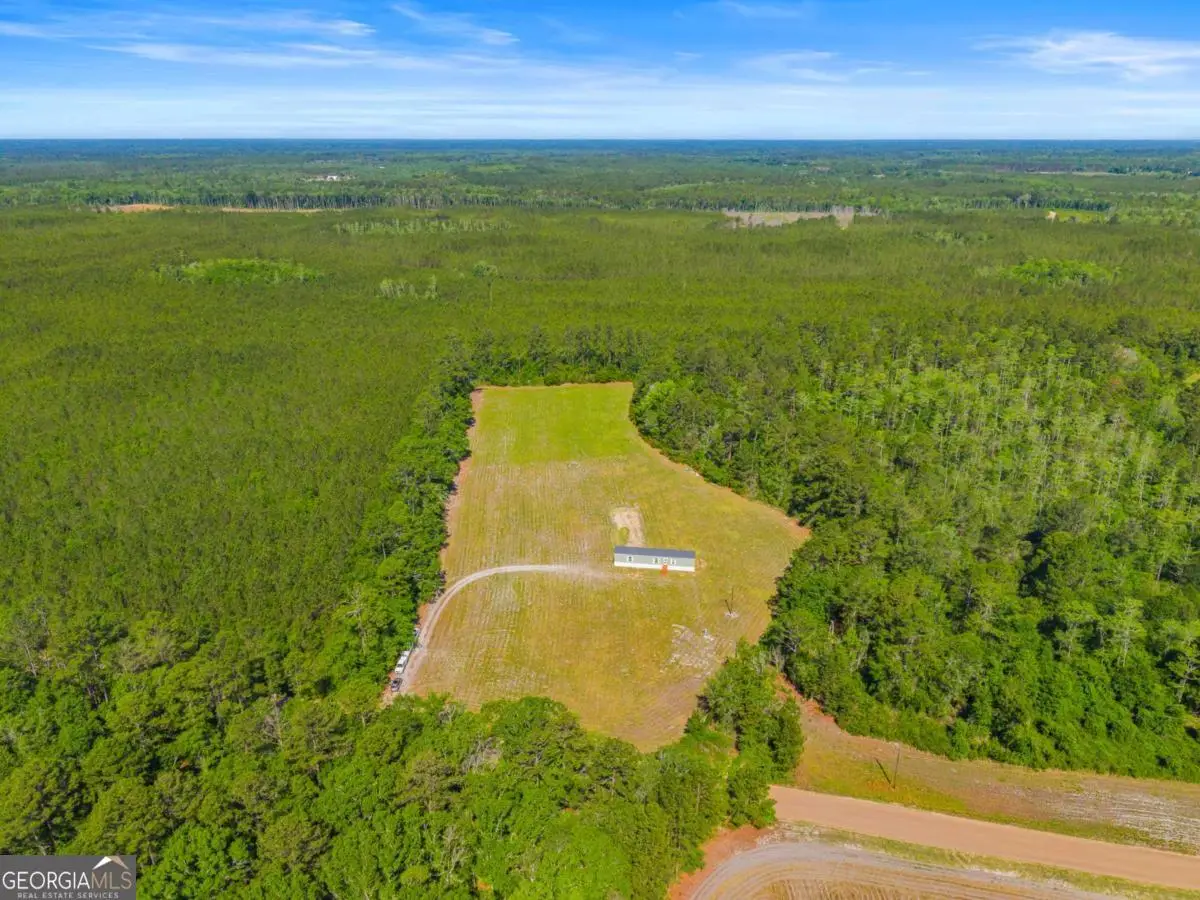 3383 Mill Branch Club Road, Pembroke, GA 31321 - #1