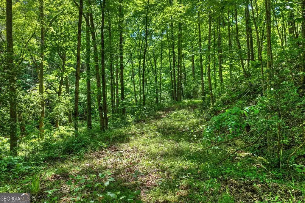 LOT 106 Mountain Creek Hollow Drive, Talking Rock, GA 30175 - #1