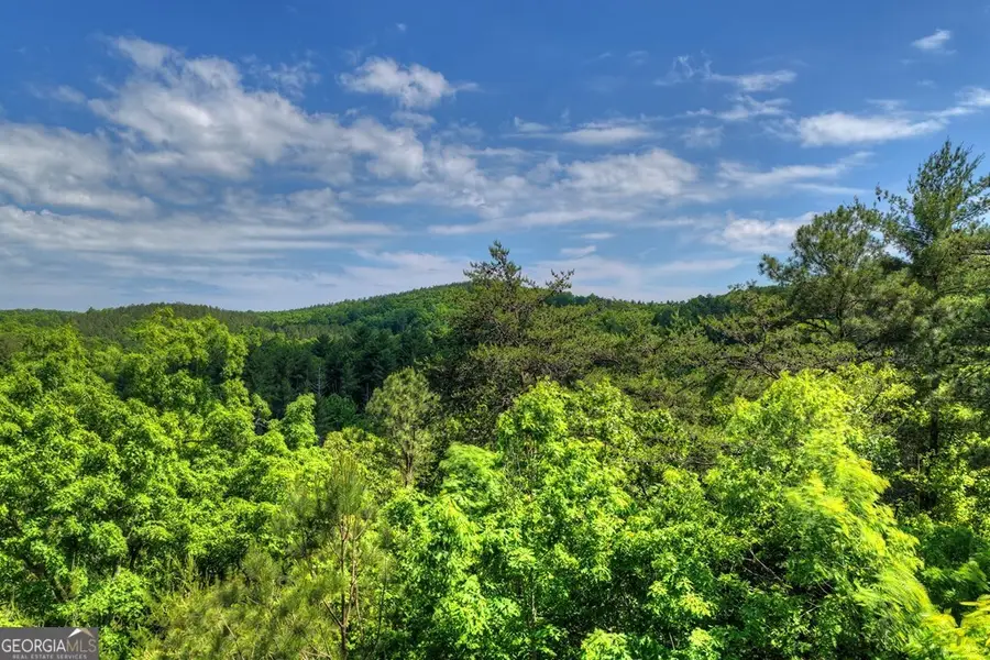 LOT 106 Mountain Creek Hollow Drive, Talking Rock, GA 30175 - #2