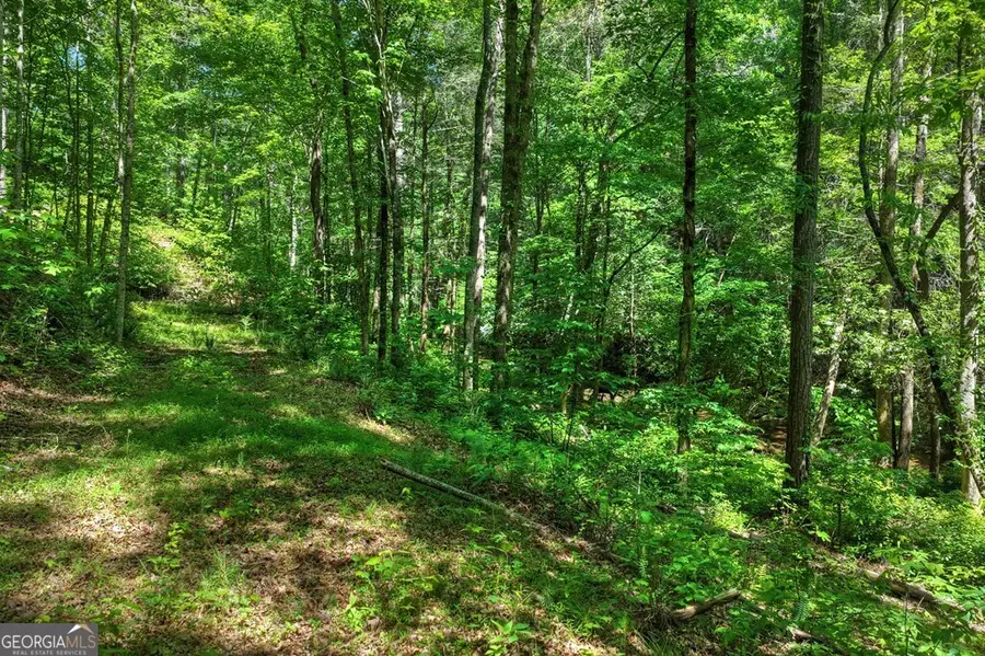 LOT 106 Mountain Creek Hollow Drive, Talking Rock, GA 30175 - #3