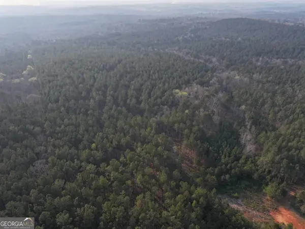117 +/- Acres On Mccosh Mill Road, Franklin, GA 30217