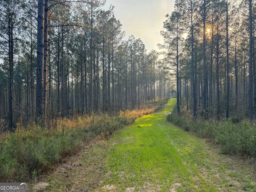 117 +/- Acres On Mccosh Mill Road, Franklin, GA 30217 - #3