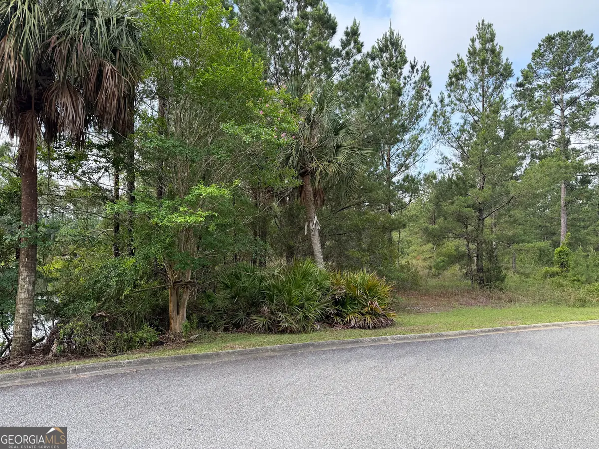 1.12 Big Horse Drive, Waynesville, GA 31566 - #1