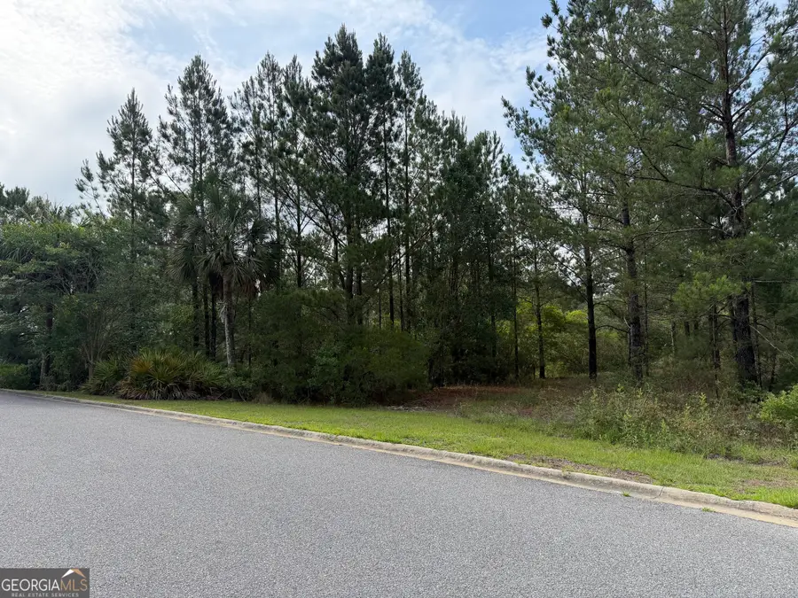 1.12 Big Horse Drive, Waynesville, GA 31566 - #3
