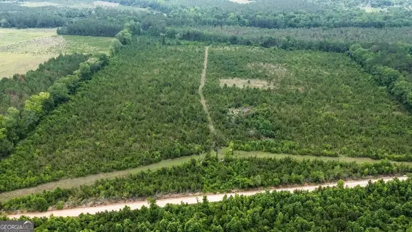 0 Adams Hammock Road, Lyons, GA 30436