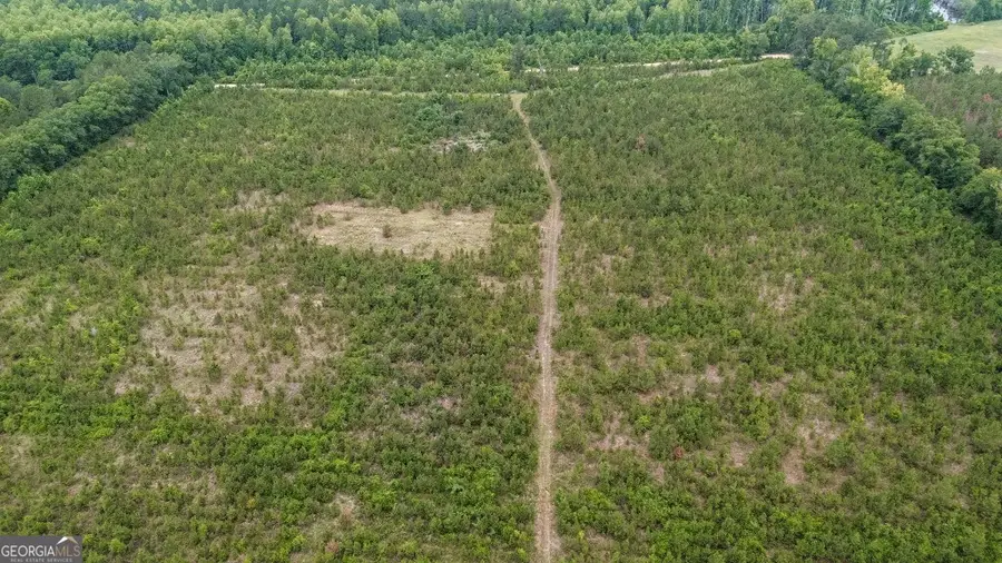 0 Adams Hammock Road, Lyons, GA 30436 - #2