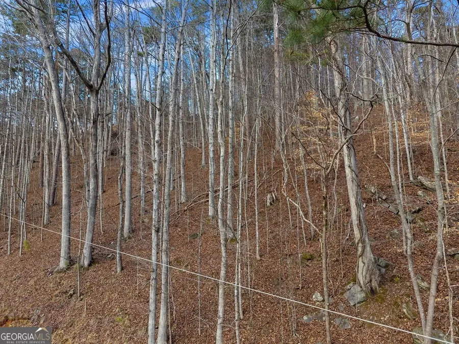 LOT 2965 Monticello Drive, Ellijay, GA 30540 - #3