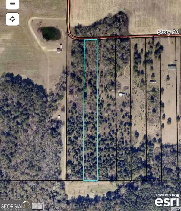0 Story Rd Lot#2, Arabi, GA 31712