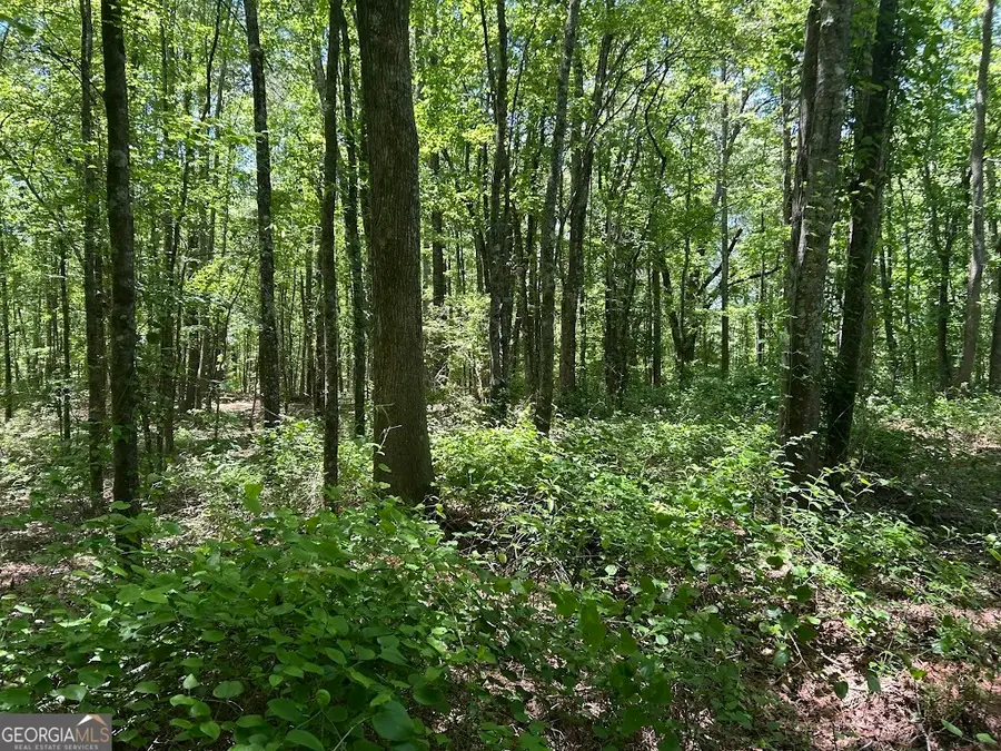 0 Old Draketown Trail, Temple, GA 30179 - #2